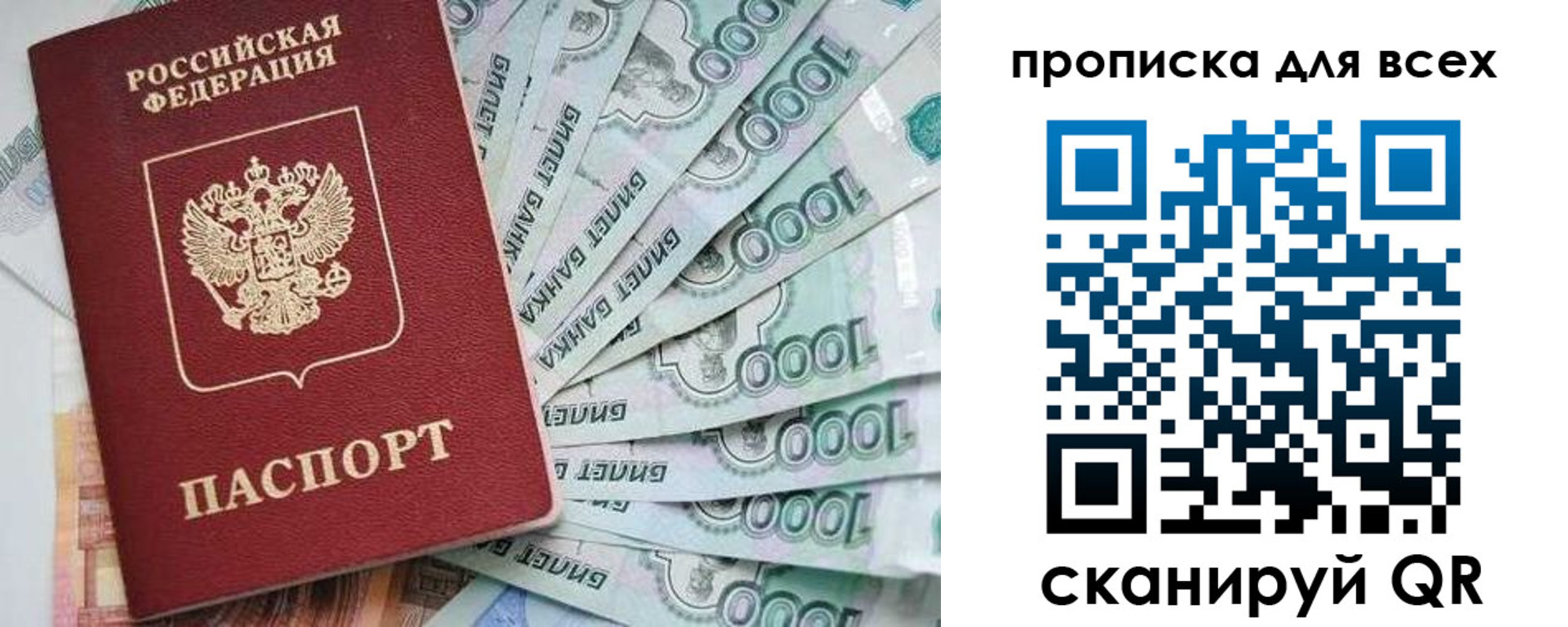 прописка гарантия в Обояни